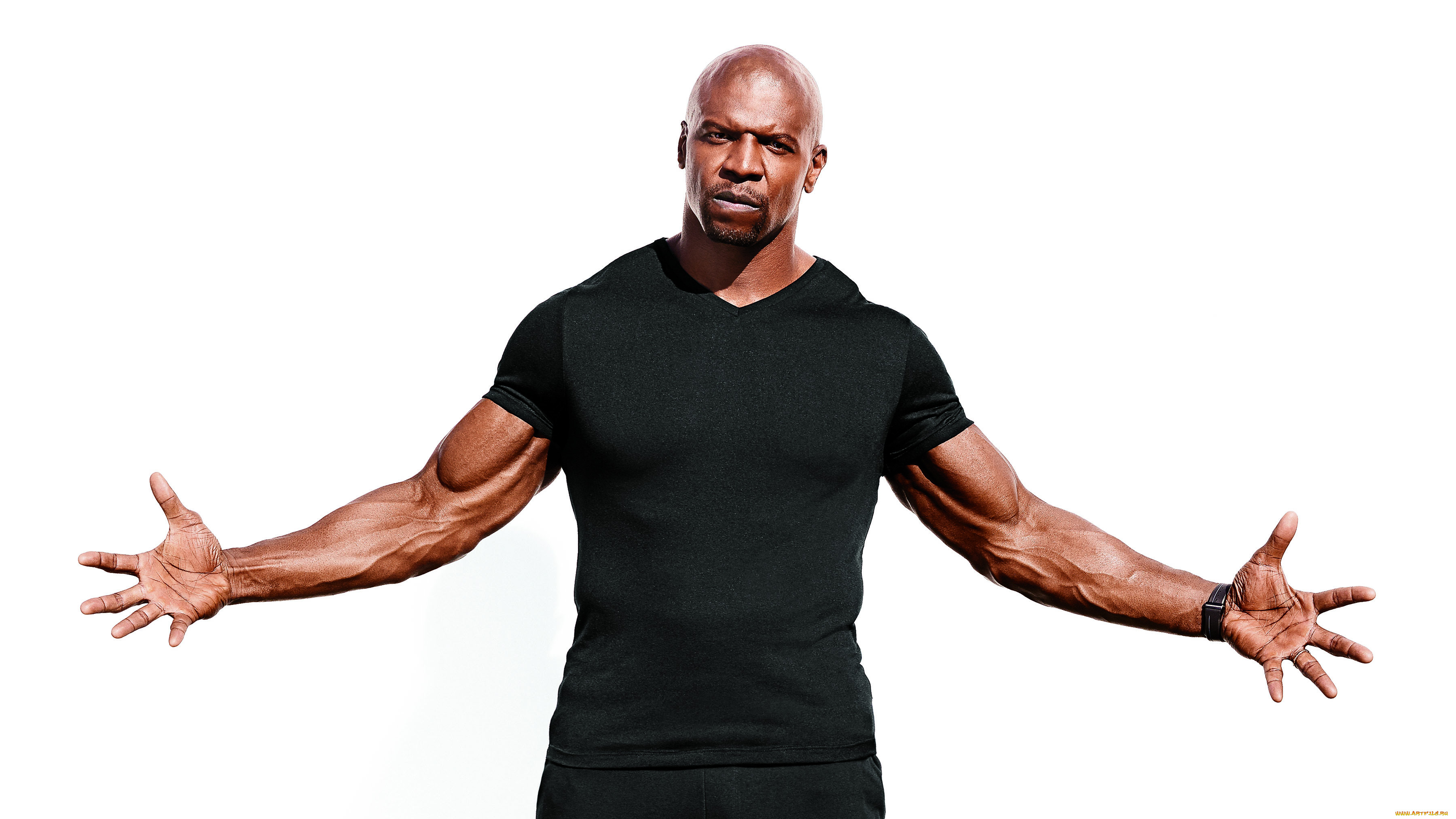 , terry crews, , 